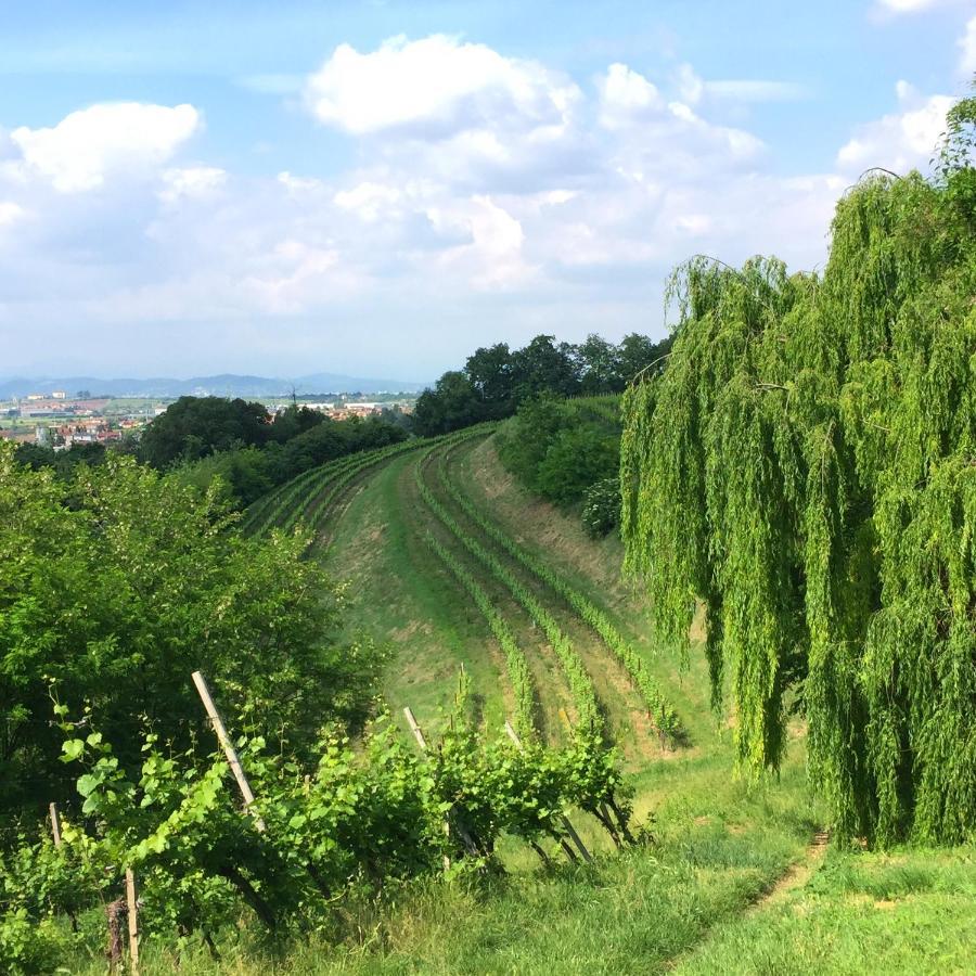 Il Convento Di Villa San Fermo 洛尼戈 外观 照片