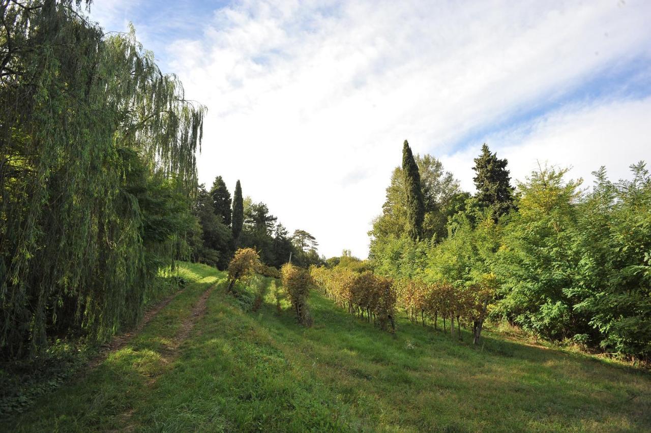 Il Convento Di Villa San Fermo 洛尼戈 外观 照片